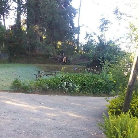Park View Guesthouse Nuwara Eliya Exterior foto