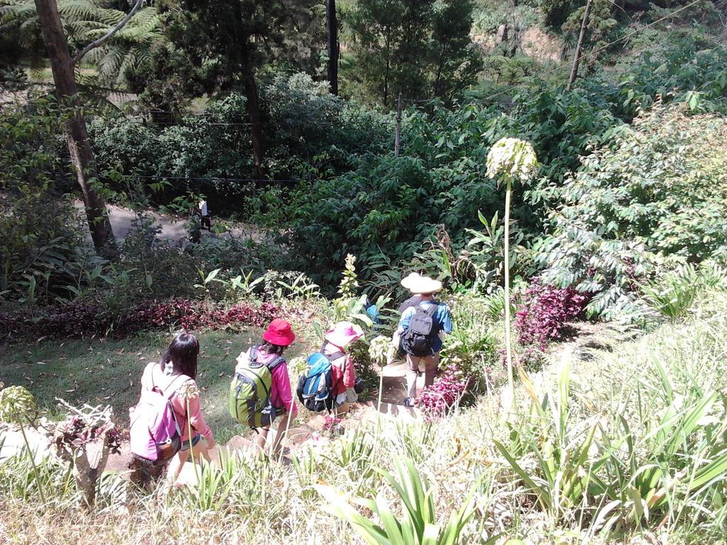 Park View Guesthouse Nuwara Eliya Exterior foto