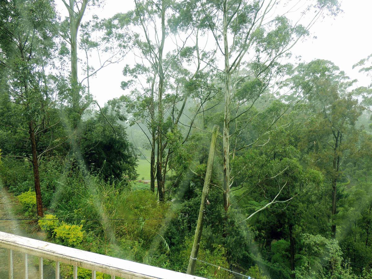 Park View Guesthouse Nuwara Eliya Exterior foto